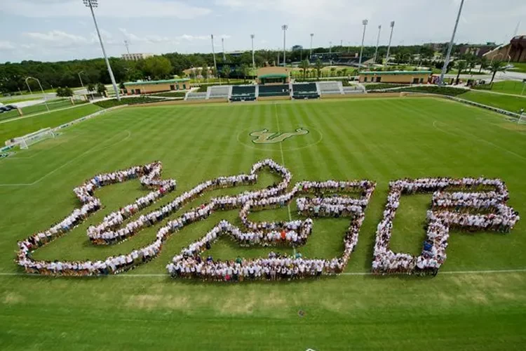 University of South Florida, USA