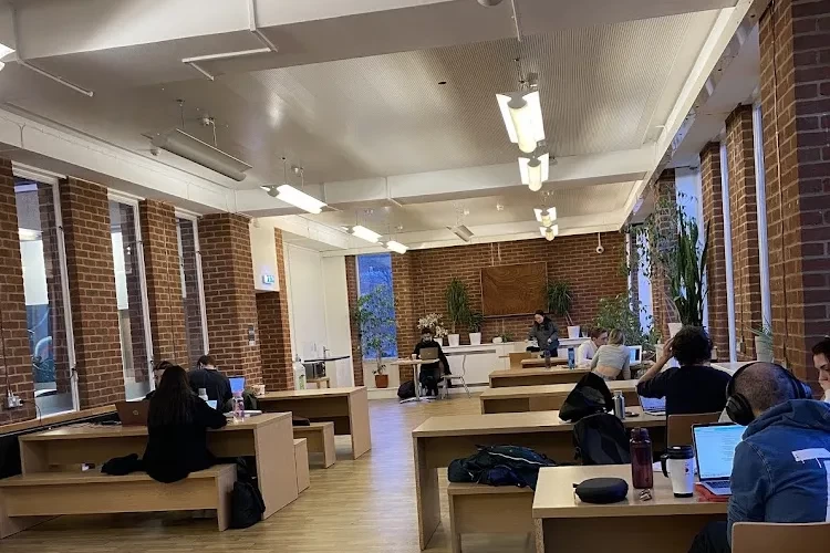 University of Sussex, Brighton