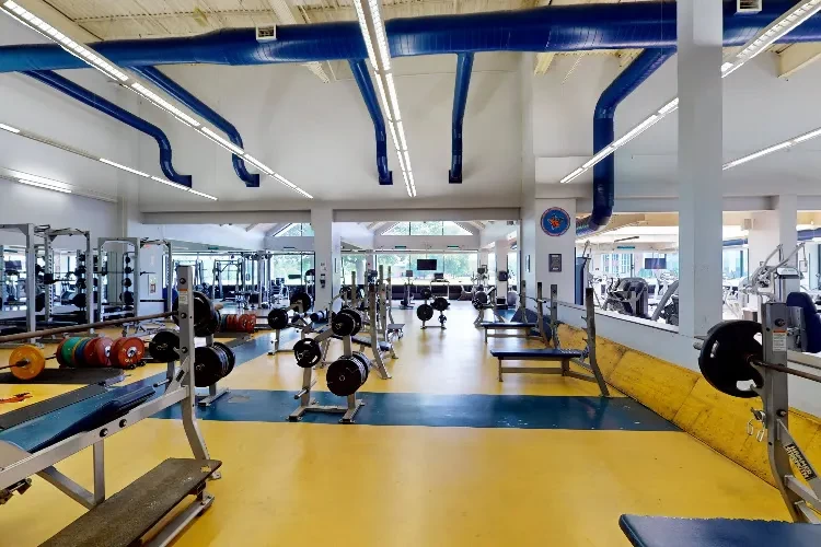 Utica University, USA