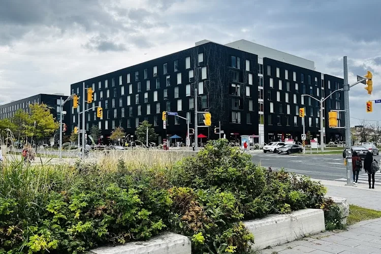 York University, Toronto